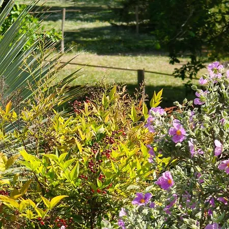 La Vayssade - De Charme - 6 Pers - Piscine Jacuzzi & Truffes Hébergement de vacances *