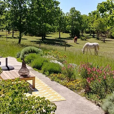 La Vayssade - De Charme - 6 Pers - Piscine Jacuzzi & Truffes Hébergement de vacances