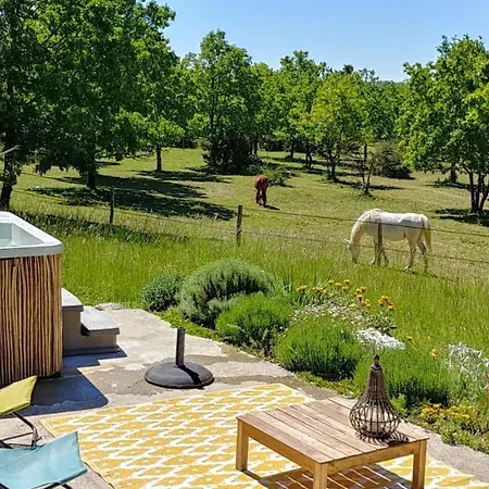 La Vayssade - De Charme - 6 Pers - Piscine Jacuzzi & Truffes * Lalbenque